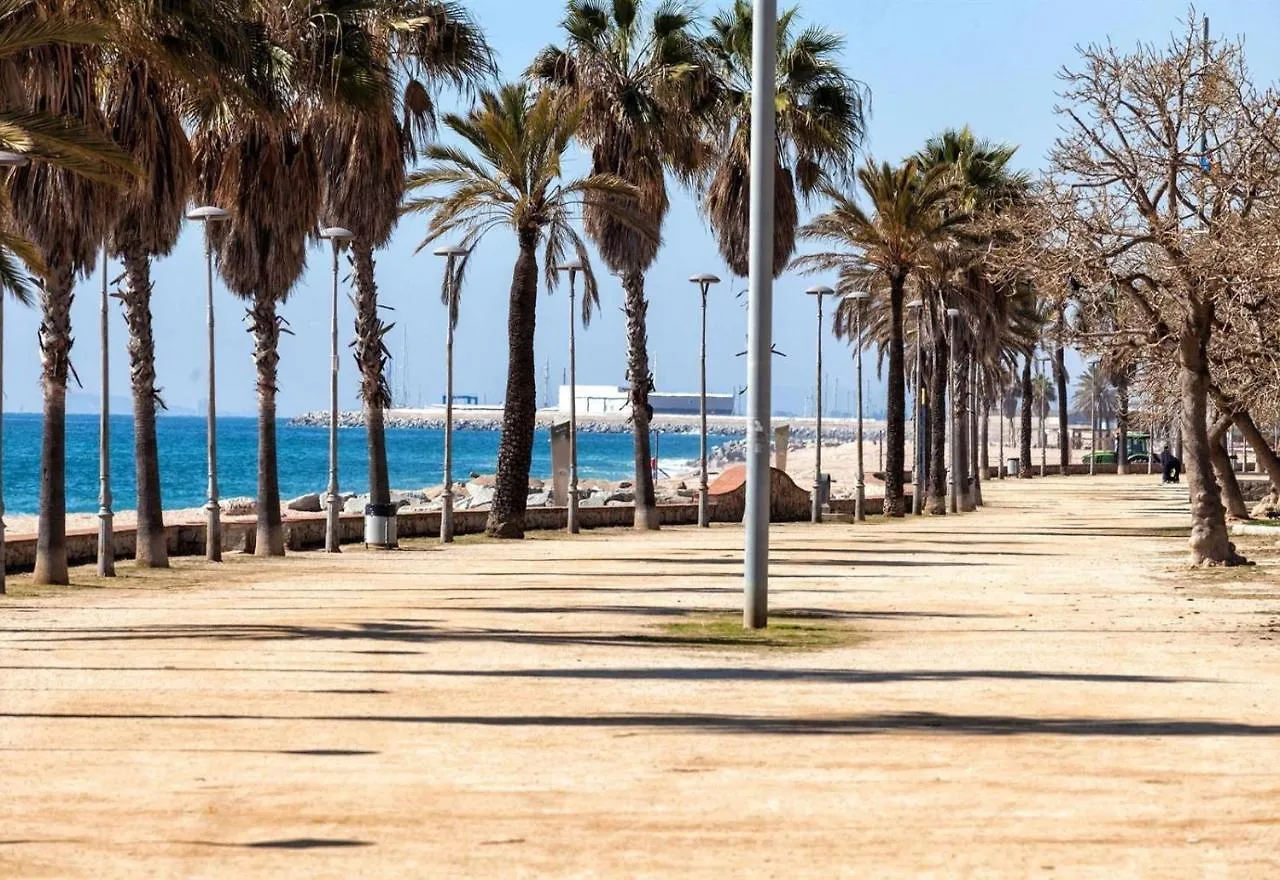 Petit Loft Apartment Canet De Mar Spain